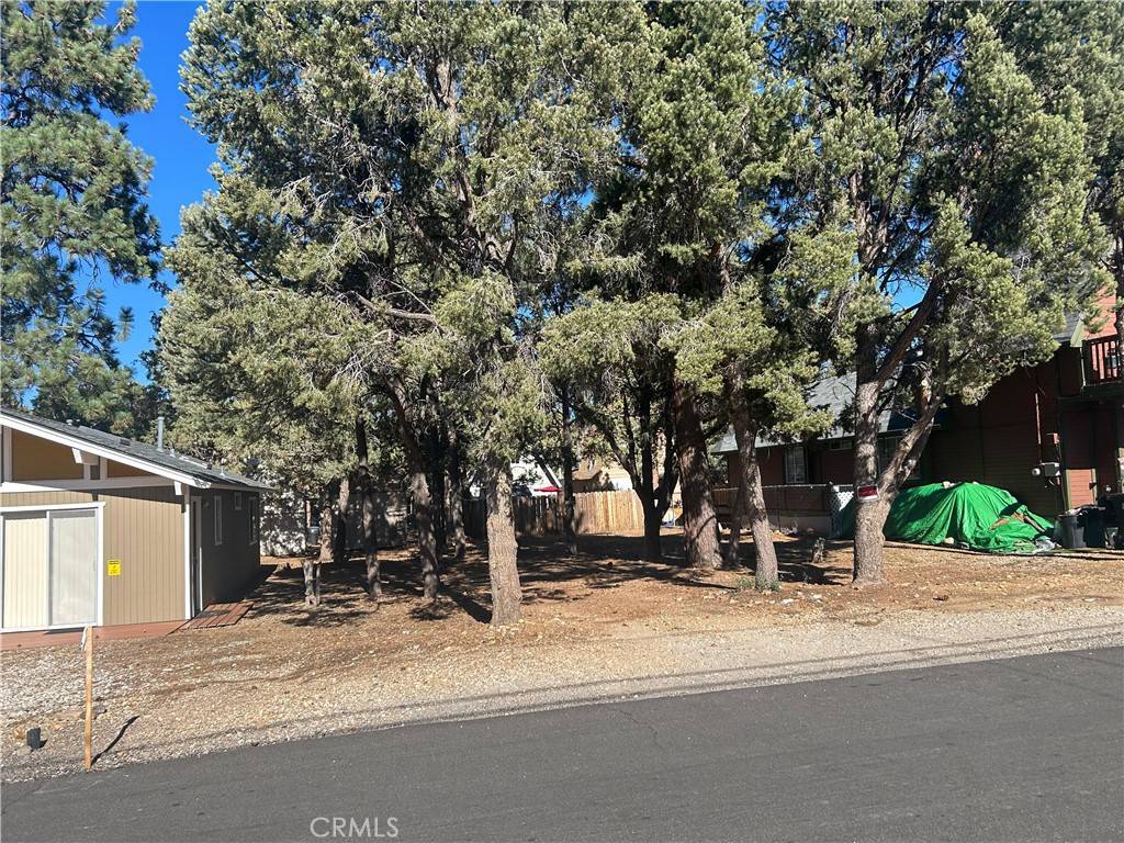 Big Bear, CA 92386,177 Sunset LN