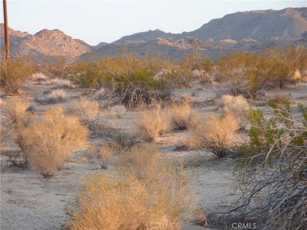 Landers, CA 92285,774 Manzanita RD