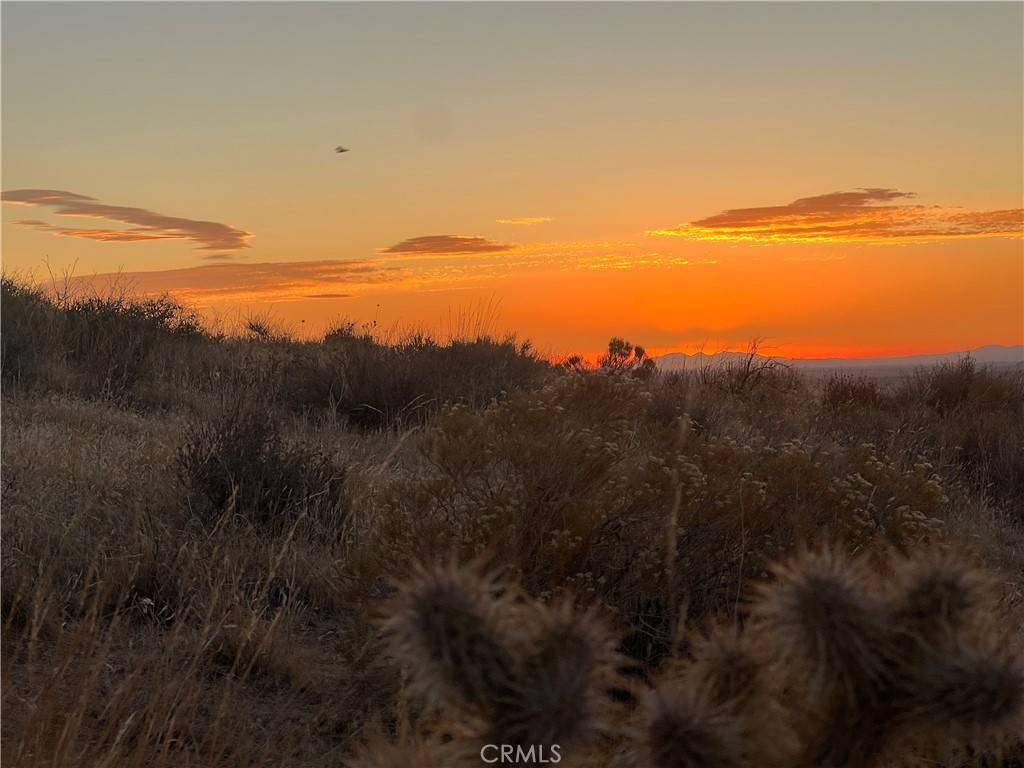 Apple Valley, CA 92308,3 Outpost