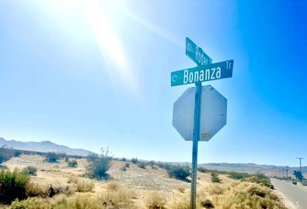 Helendale, CA 92342,28032 Rodeo