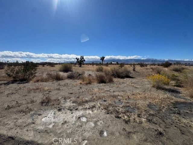 Phelan, CA 92371,2829 Olivera