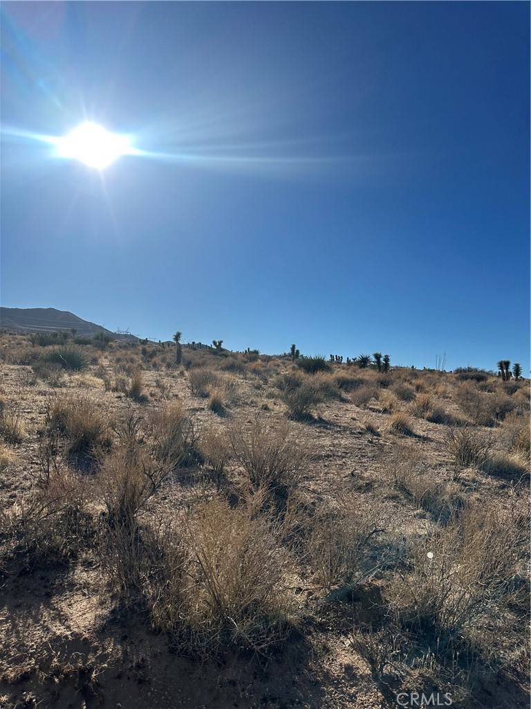 Apple Valley, CA 92308,0 Canyon View RD