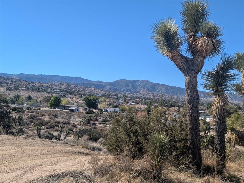 Phelan, CA 92371,0 Malpaso RD