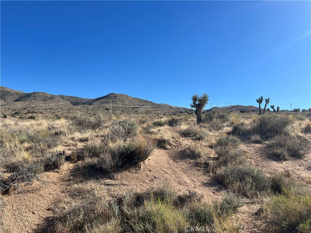 Apple Valley, CA 92308,26330 Mountain View RD