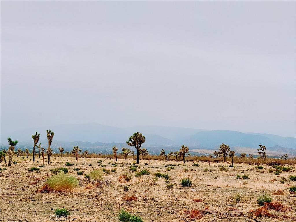 Pinon Hills, CA 92372,12452 Golden View