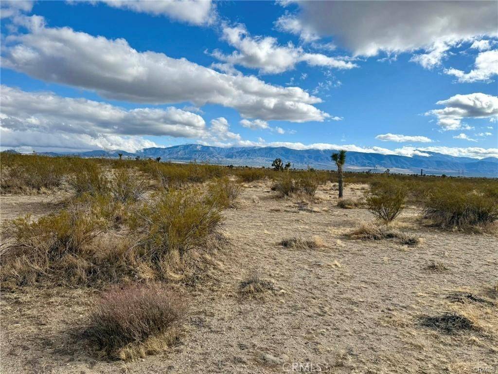 Pinon Hills, CA 92372,0 Dos Palmas AVE