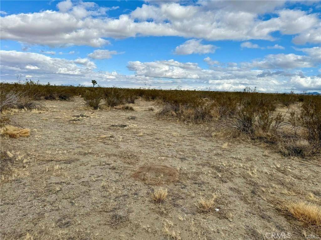 Pinon Hills, CA 92372,0 Dos Palmas AVE