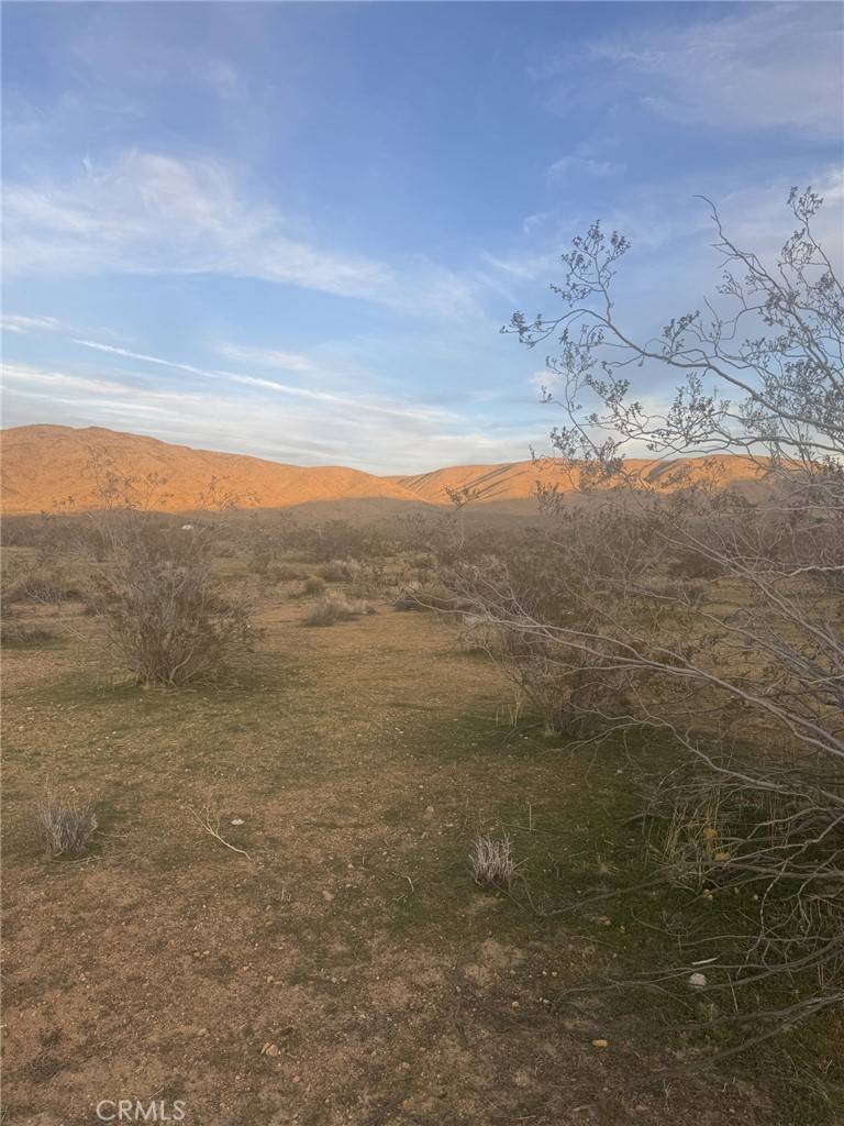 Apple Valley, CA 92307,0 Canfield