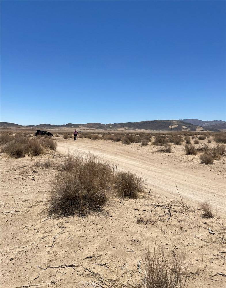 Joshua Tree, CA 92252,0 Reagan RD
