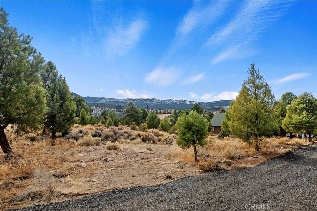 Big Bear City, CA 92314,0 Sunny Slope LN