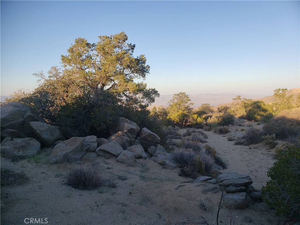 Mountain Center, CA 92561,1 Sun Terrace