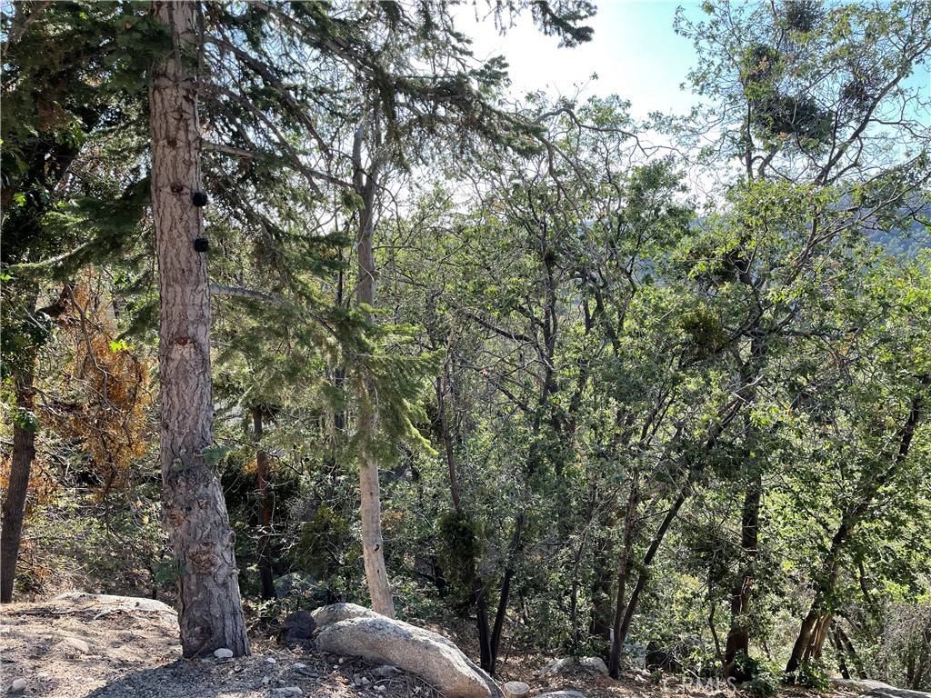 Arrowbear, CA 92382,23 Lot 23 Music Camp RD
