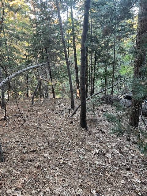 Twin Peaks, CA 92391,0 Lake Forest DR