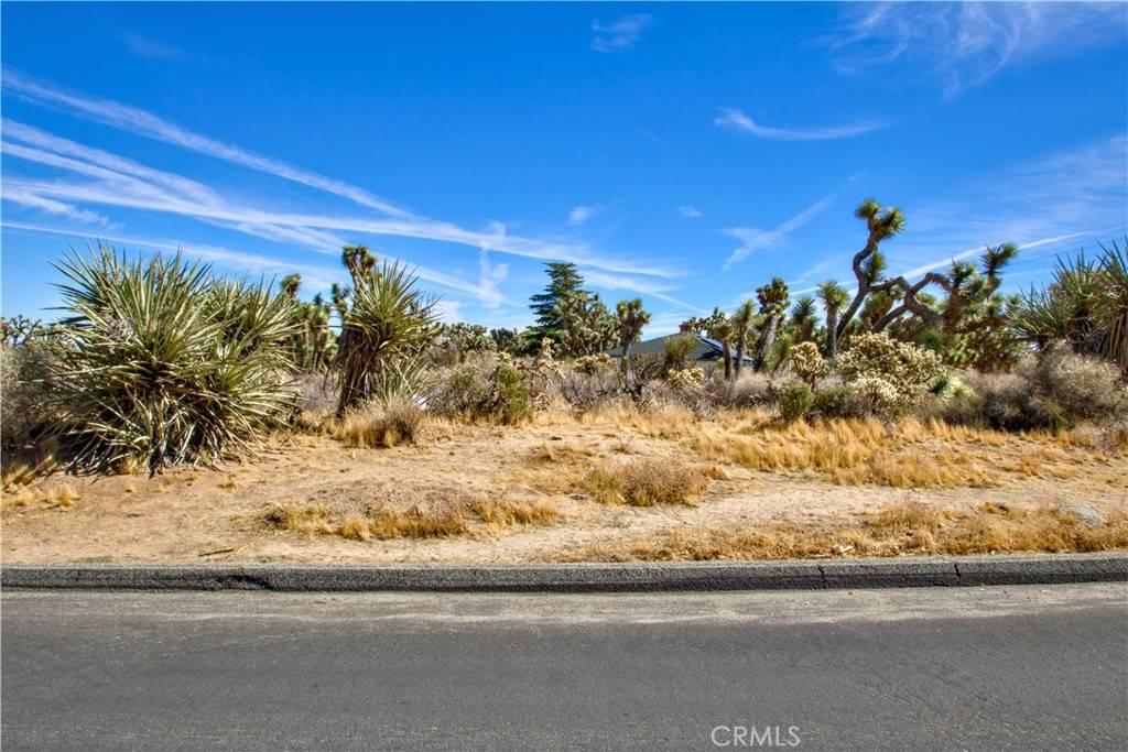 Yucca Valley, CA 92284,25 Lot 25 Joshua DR