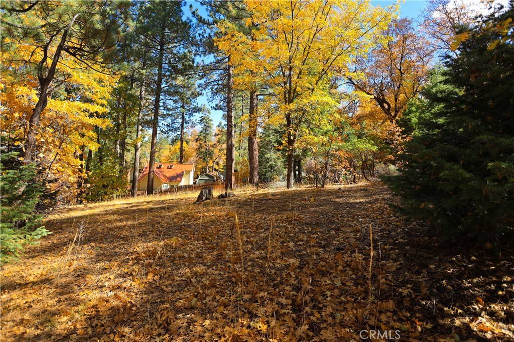 Big Bear Lake, CA 92315,0 Ford Ln