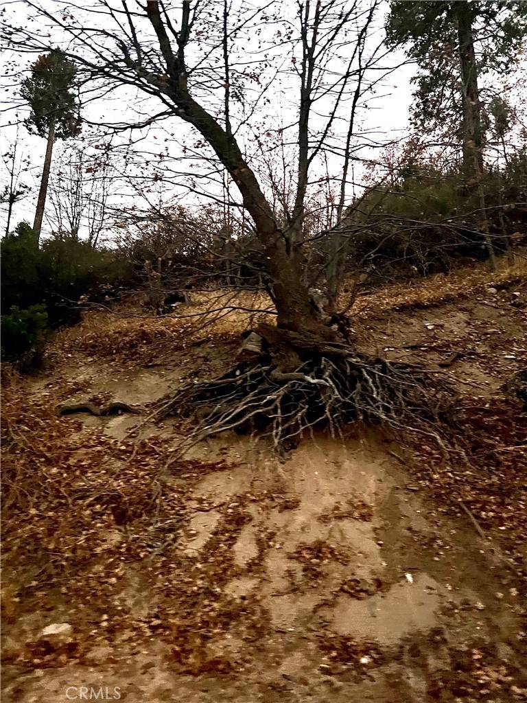 Cedar Glen, CA 92321,0 Pine DR