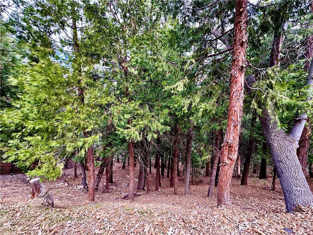 291 Hillside RD Lake Arrowhead, CA 92352