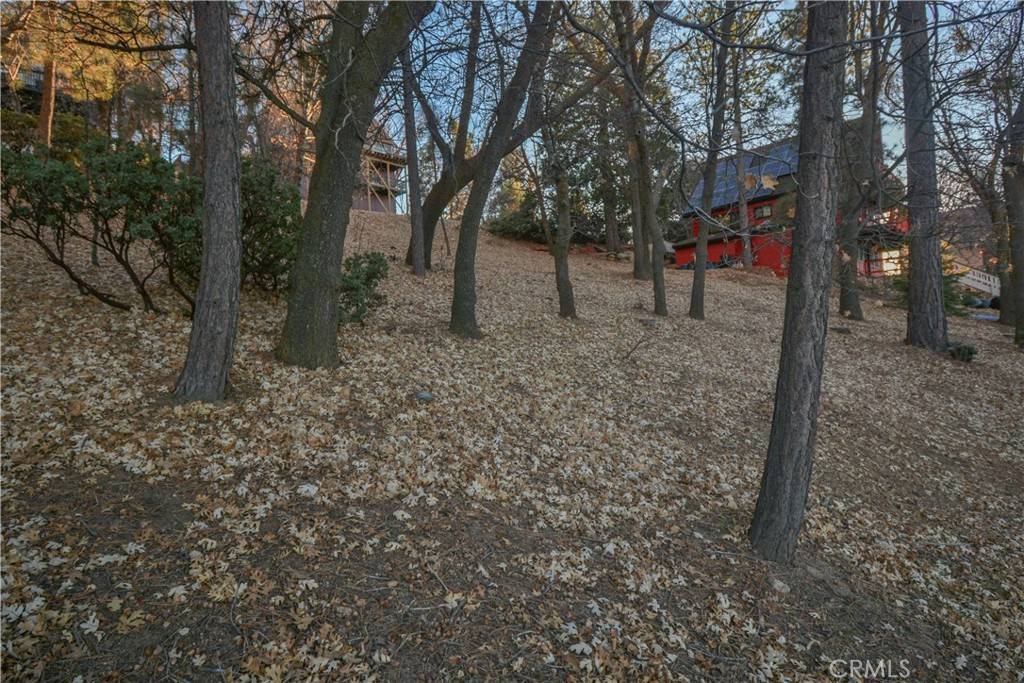 Lake Arrowhead, CA 92352,1411 Yosemite DR