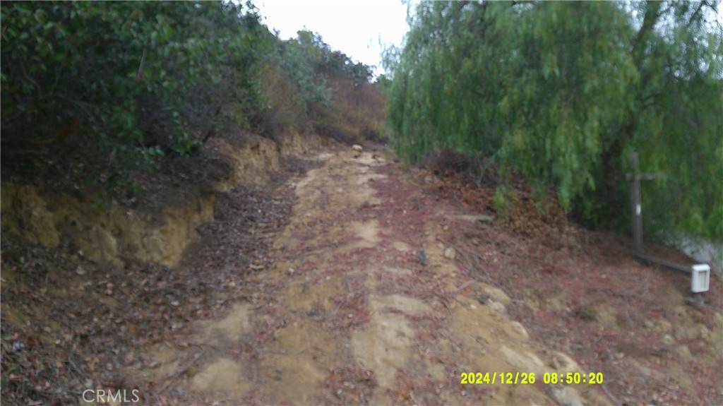 Chino Hills, CA 91709,16788 Hillside DR