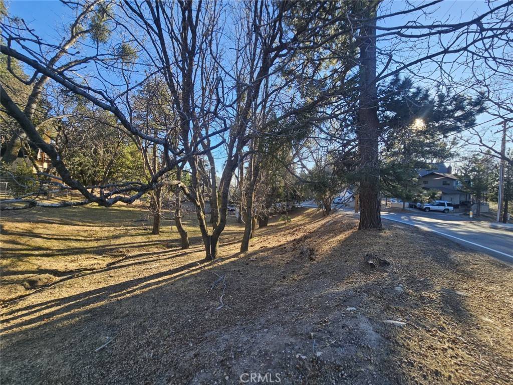 Running Springs, CA 92382,0 Live Oak DR