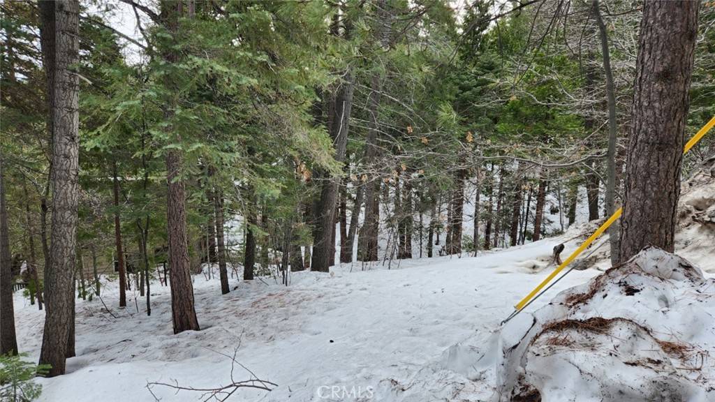 Lake Arrowhead, CA 92352,0 Brentwood DR