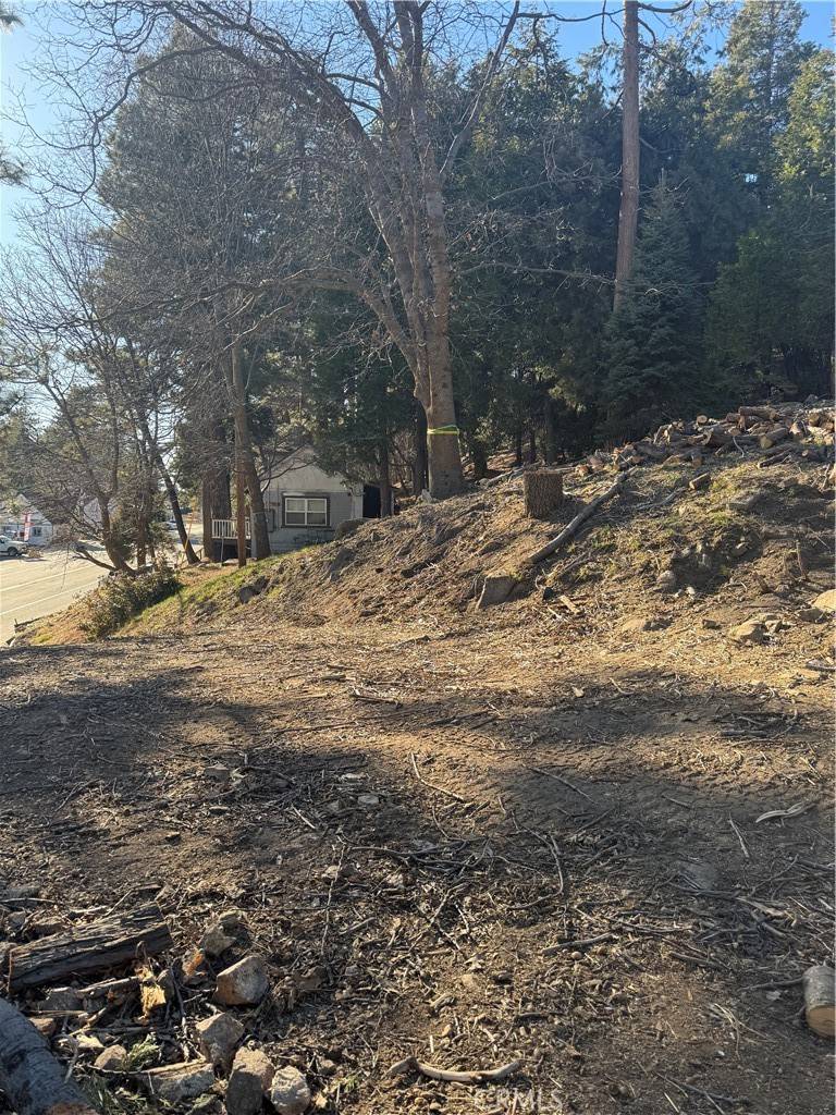 Rimforest, CA 92378,26600 Highway 18