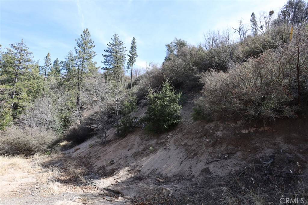 Cedar Glen, CA 92321,0 Acacia RD