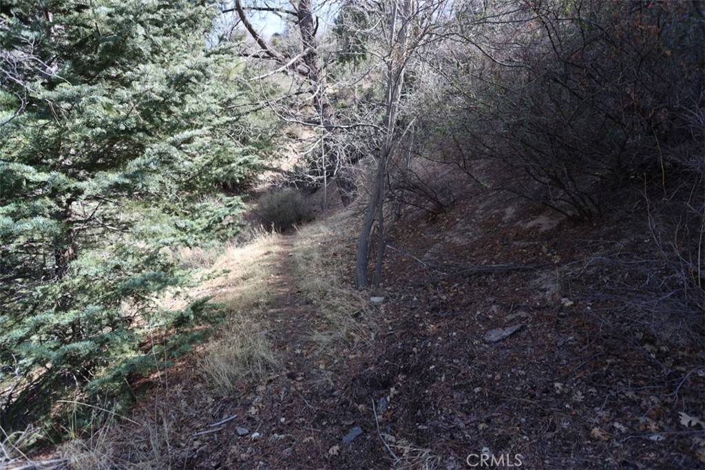 Cedar Glen, CA 92321,721 Acacia RD