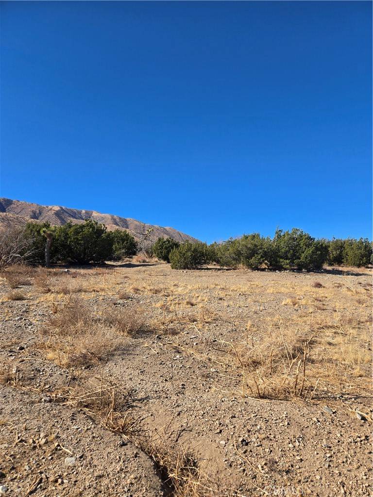 Littlerock, CA 93543,0 Murphys LN