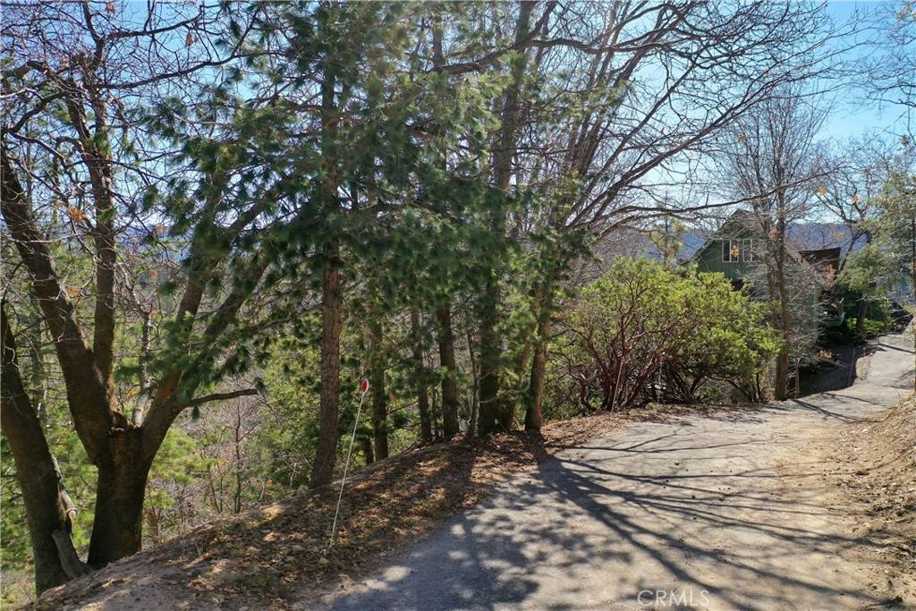 Lake Arrowhead, CA 92352,0 Alpen DR