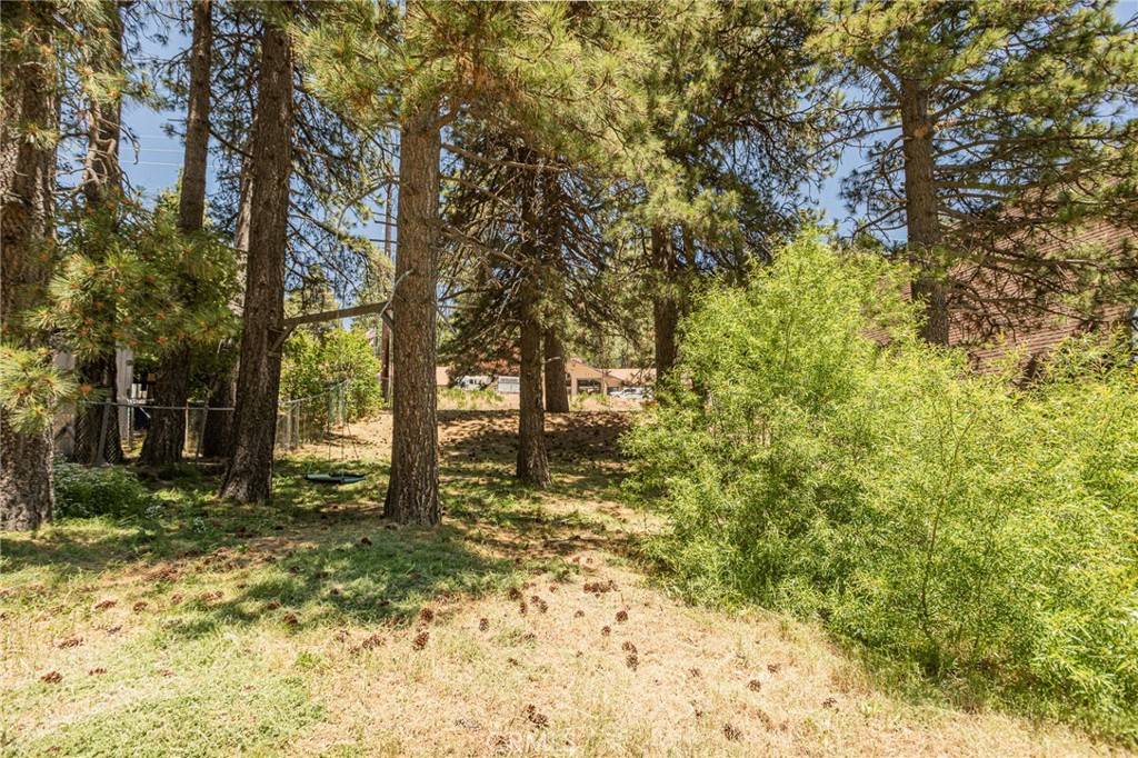 Running Springs, CA 92382,0 Ca-18