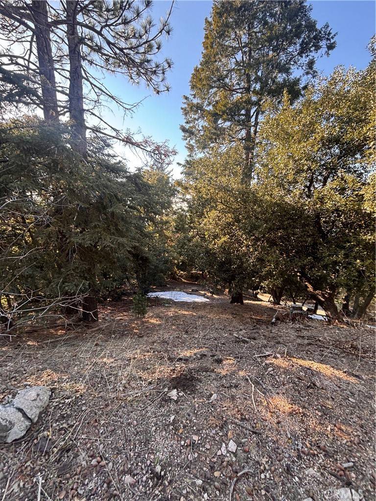 Twin Peaks, CA 92391,0 North Rd