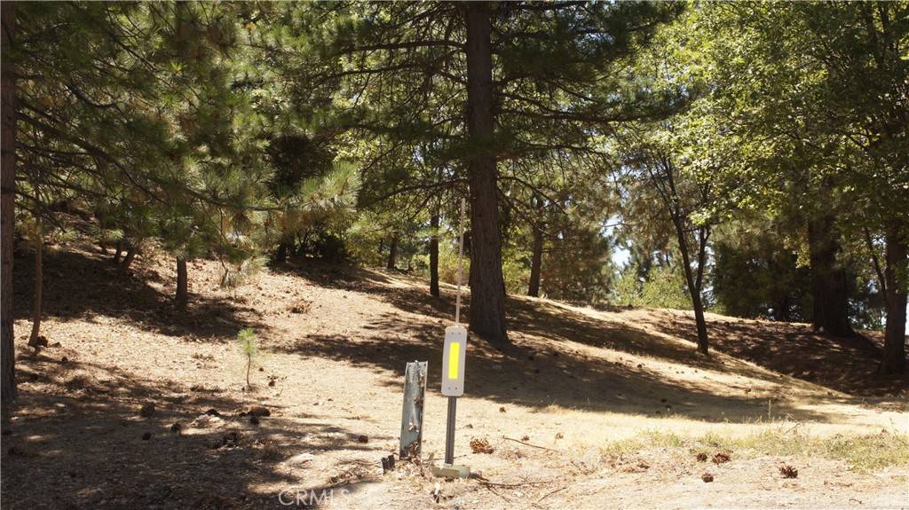 Running Springs, CA 92382,0 Sky Line DR