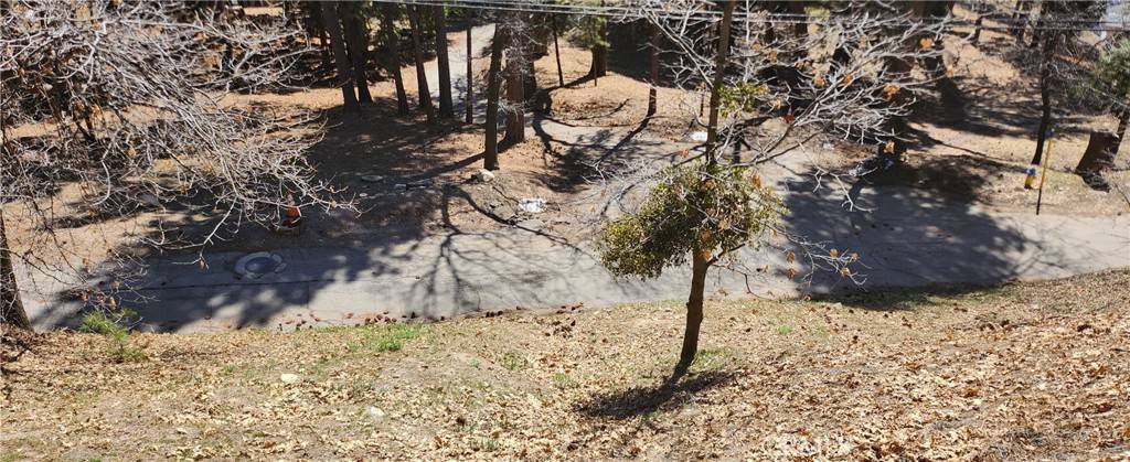 Running Springs, CA 92382,0 Preston DR