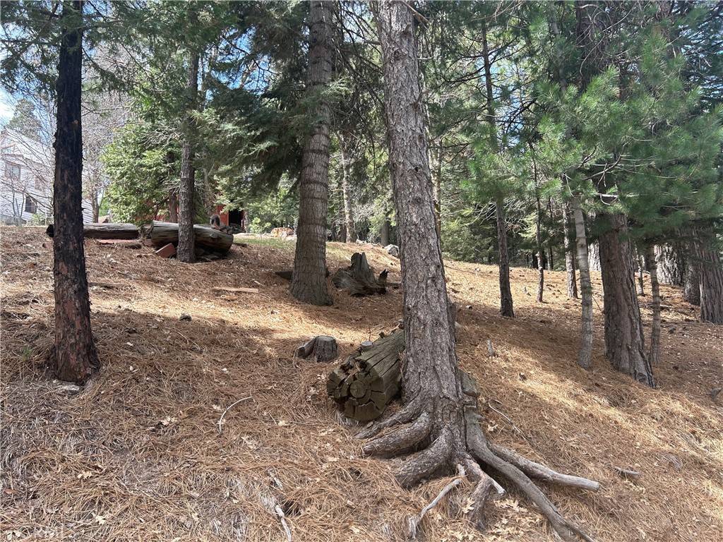 Twin Peaks, CA 92391,0 Mid Ln