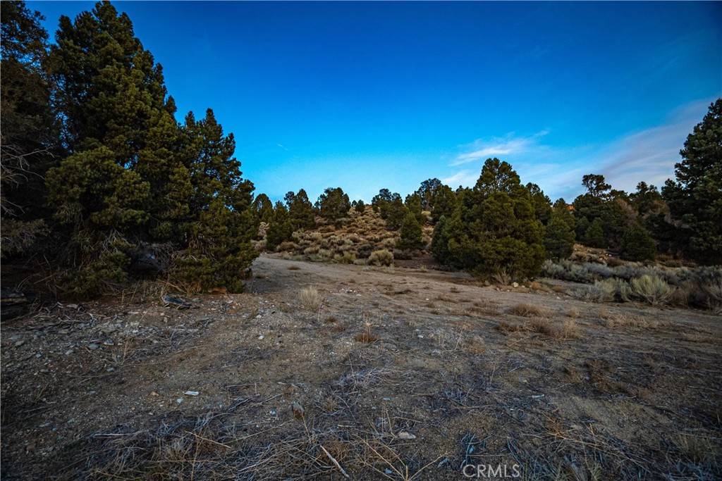 Big Bear City, CA 92314,0 Chaparal