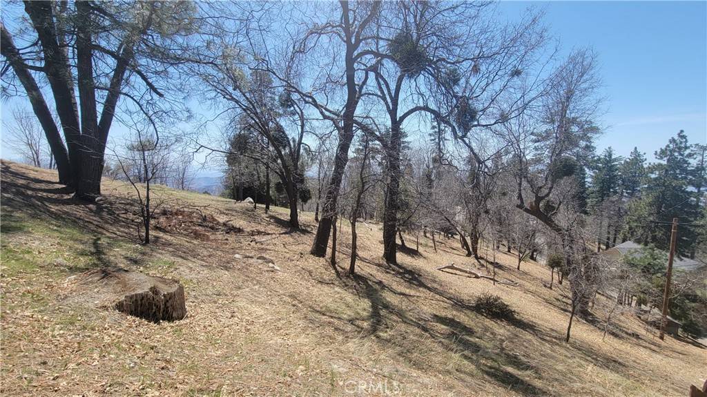 Running Springs, CA 92382,0 Winding WAY