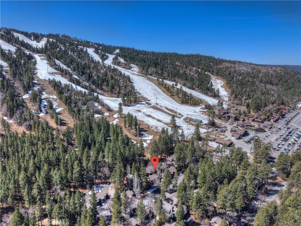 Big Bear Lake, CA 92315,41935 Switzerland DR #100