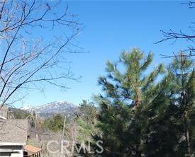 Running Springs, CA 92382,42 Park DR