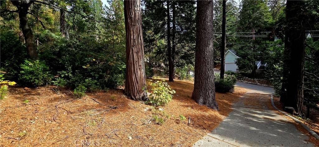 Blue Jay, CA 92317,308 Pioneer RD
