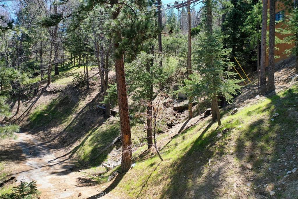 Lake Arrowhead, CA 92352,0 Yukon DR