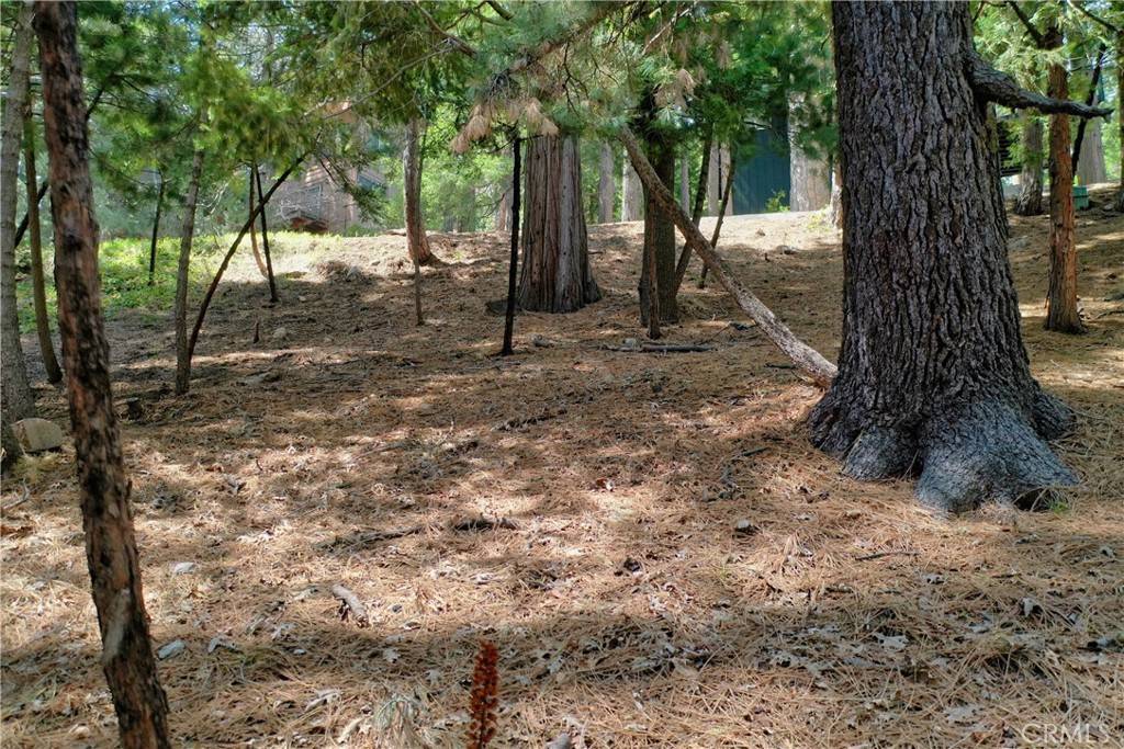 Lake Arrowhead, CA 92352,0 Terrace