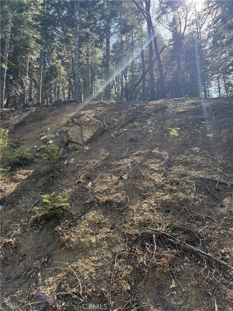 Lake Arrowhead, CA 92352,26537 Spyglass DR