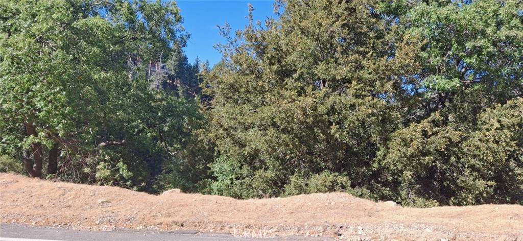 Lake Arrowhead, CA 92352,0 Brentwood DR