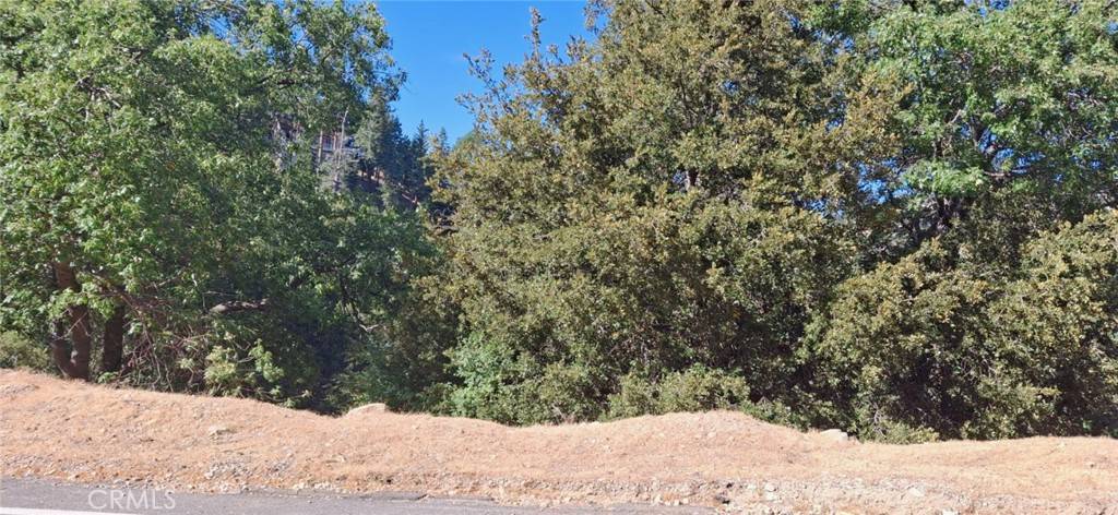Lake Arrowhead, CA 92352,0 Brentwood DR