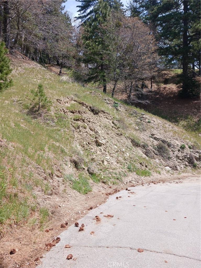 Cedarpines Park, CA 92322,21858 Fern Canyon RD