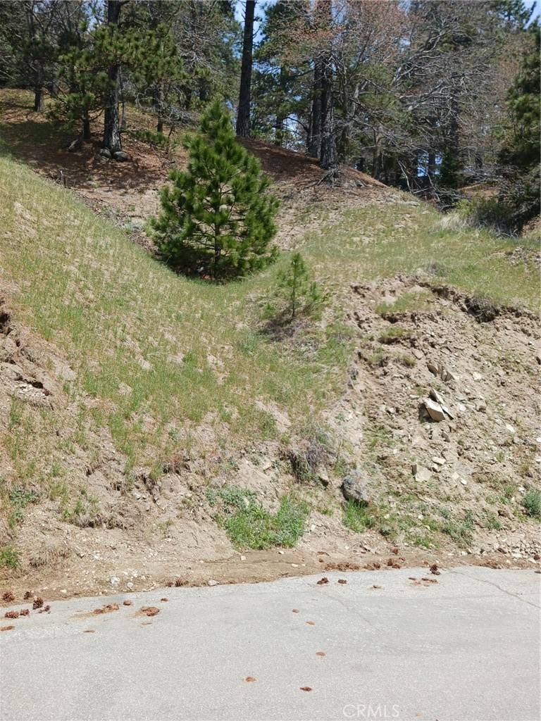 Cedarpines Park, CA 92322,21858 Fern Canyon RD