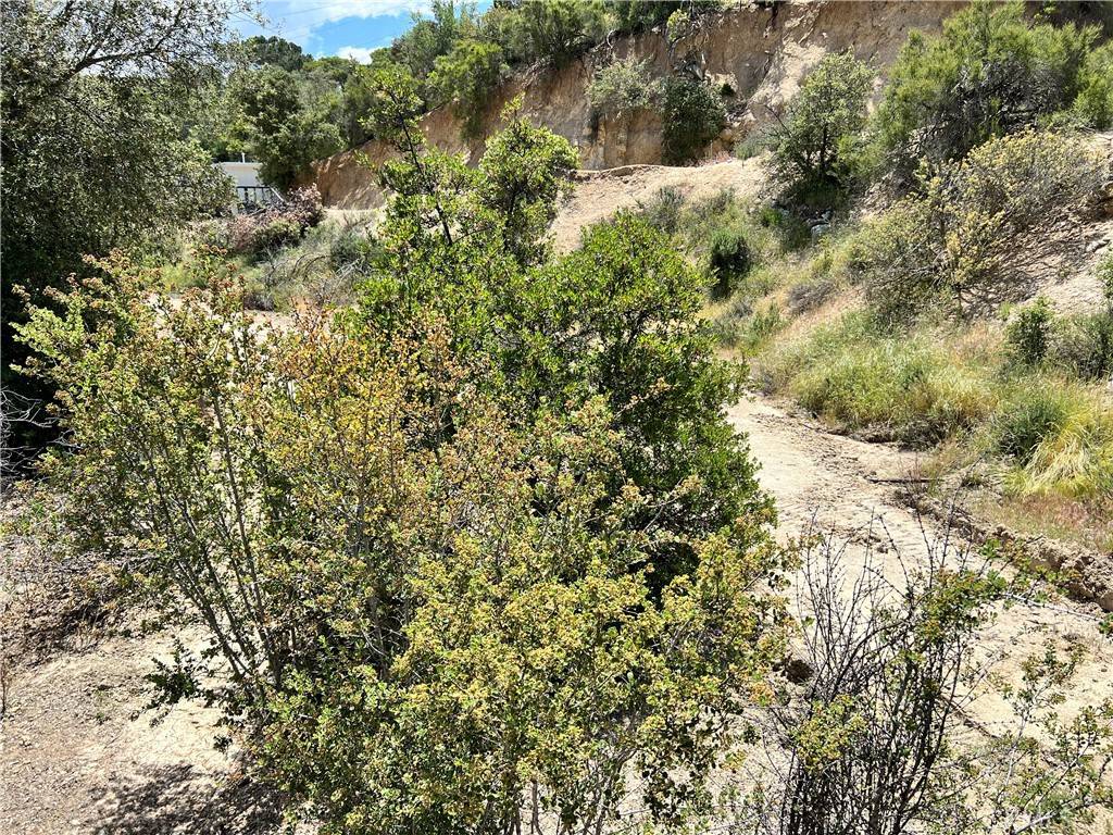 Banning, CA 92220,45902 Lynx ST