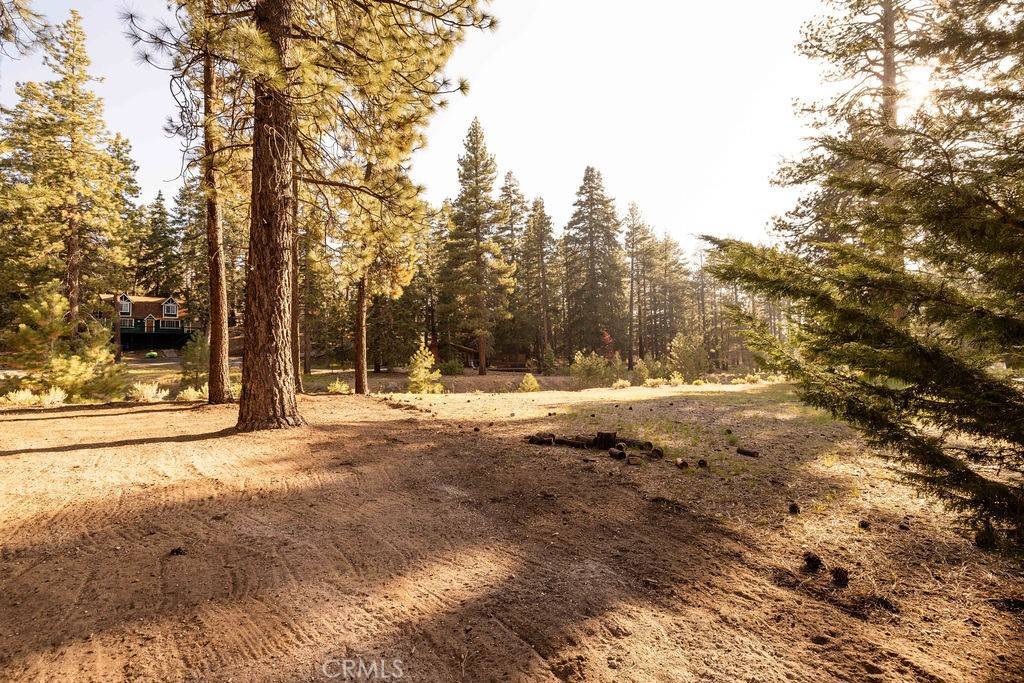 Big Bear Lake, CA 92315,43387 Sheephorn RD
