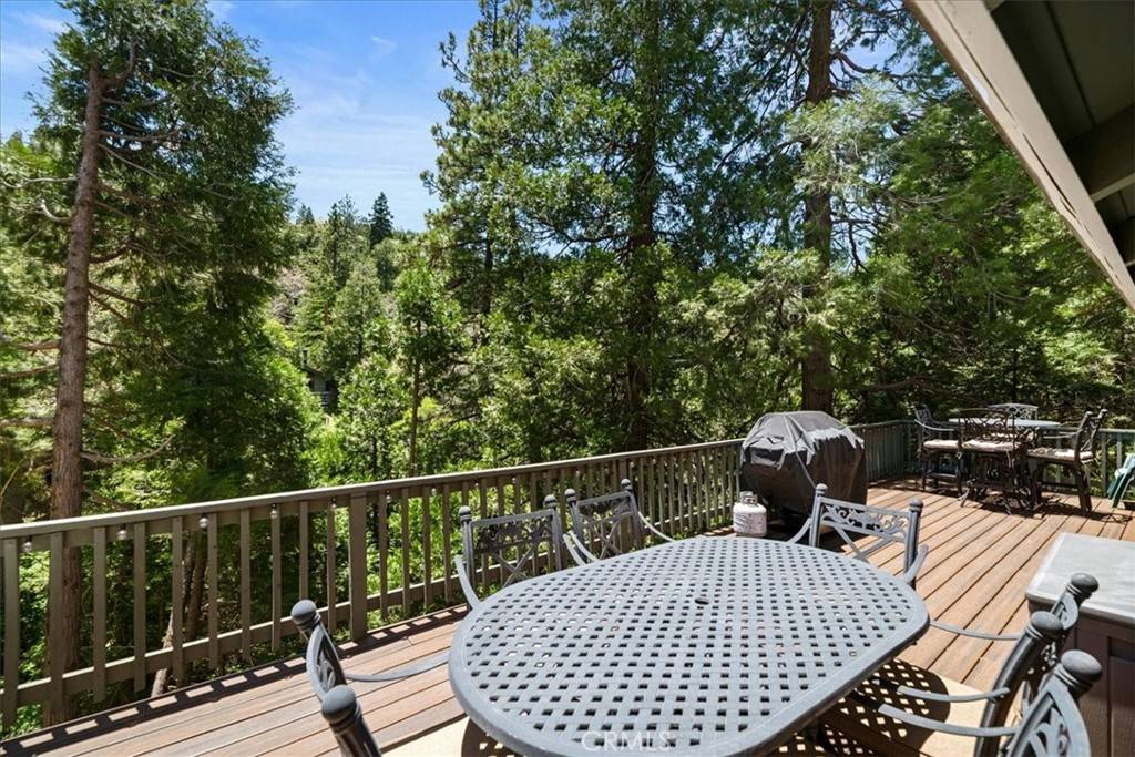 Crestline, CA 92325,24755 Basel DR